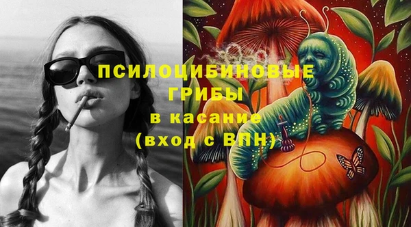 амф Алзамай