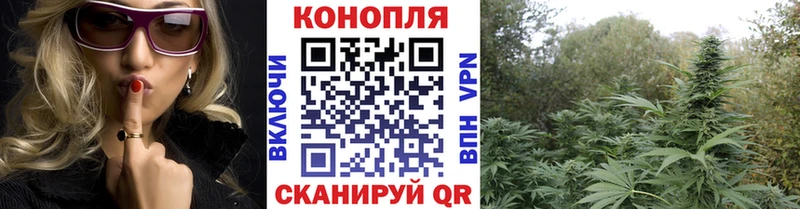 Марихуана семена Староминская